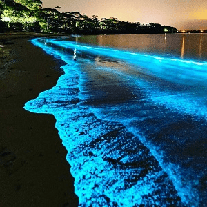 Ocean of Stars, Vadoo Island Beach