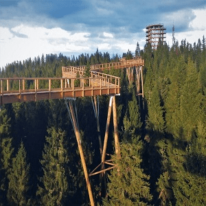 Treetop Walkway, Bachledka