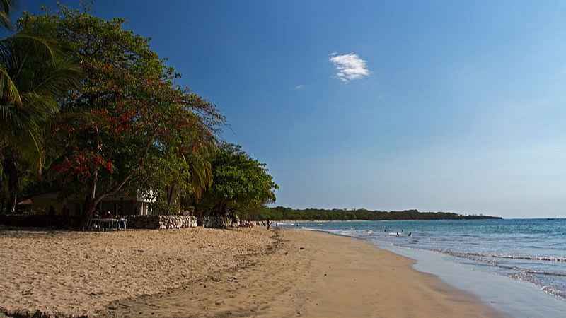 Costa Rica – A Tropical Haven for Adventurous Pets