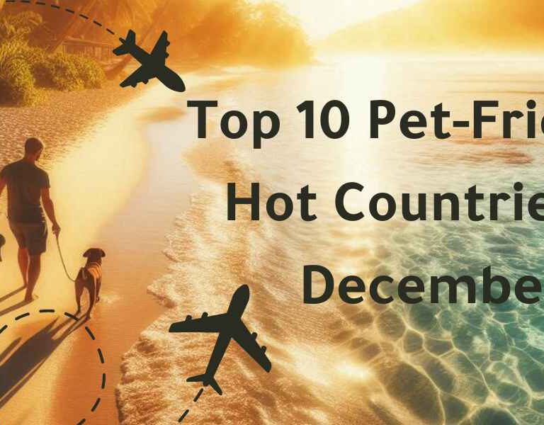 Warm Winter Getaways Top 10 Pet-Friendly Hot Countries in December