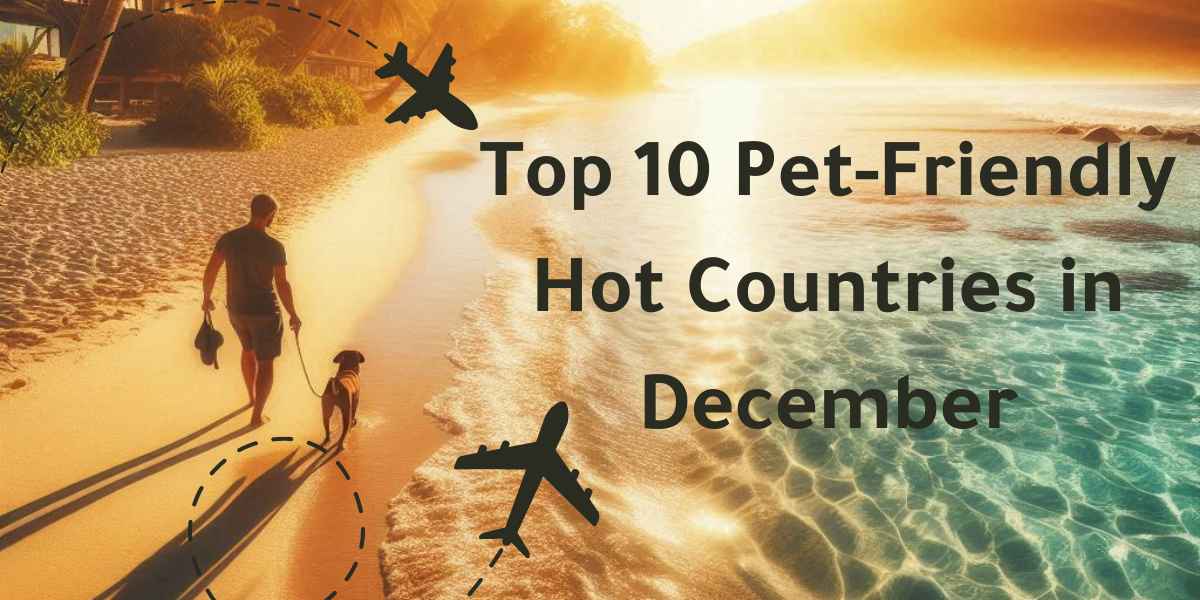 Warm Winter Getaways Top 10 Pet-Friendly Hot Countries in December